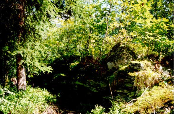 Fortification Gures pata.jpg